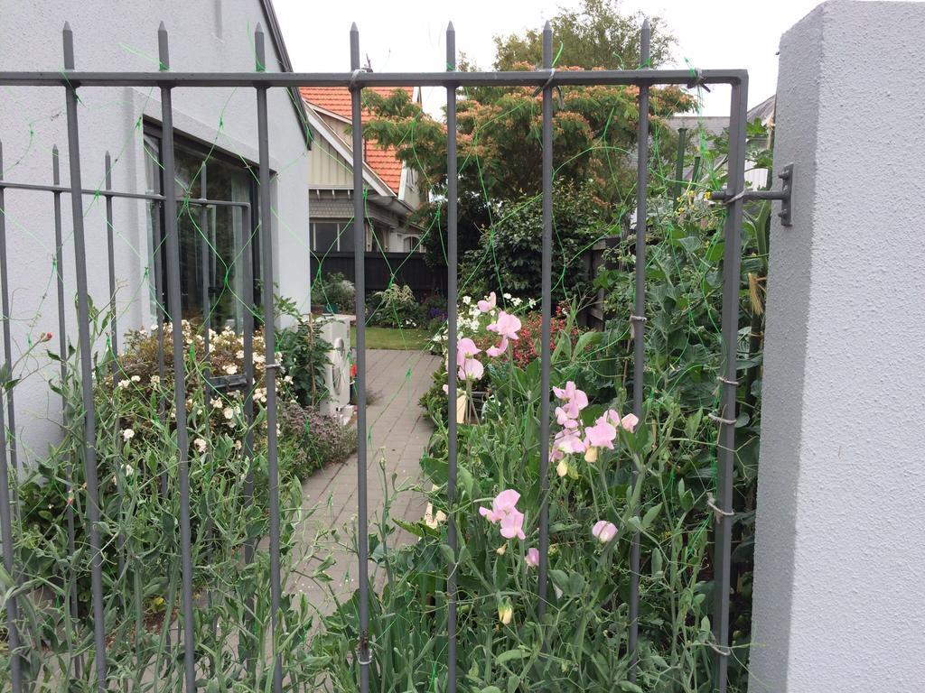 Garden Bed And Breakfast Christchurch Esterno foto