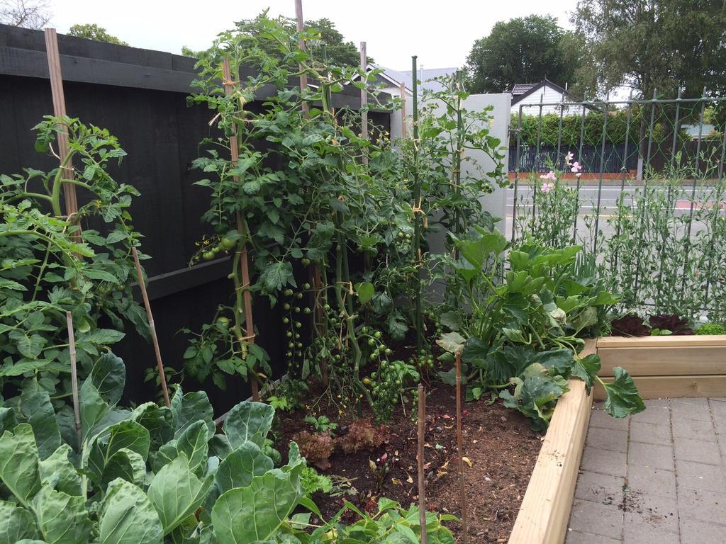 Garden Bed And Breakfast Christchurch Esterno foto