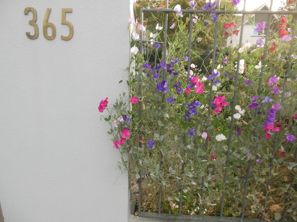Garden Bed And Breakfast Christchurch Esterno foto