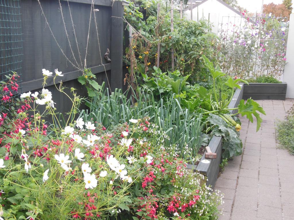 Garden Bed And Breakfast Christchurch Esterno foto