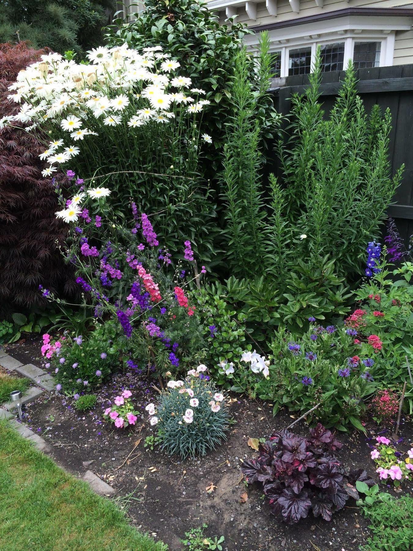 Garden Bed And Breakfast Christchurch Esterno foto