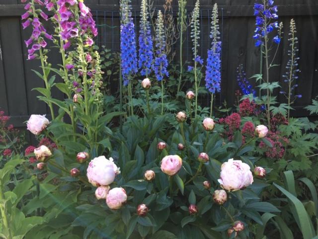 Garden Bed And Breakfast Christchurch Esterno foto